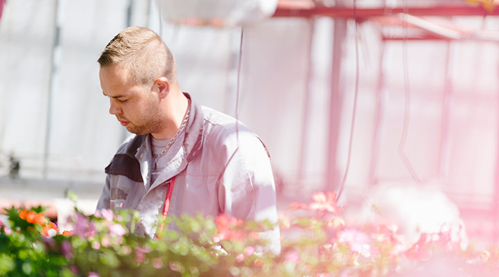 Travail agricole : horticulture