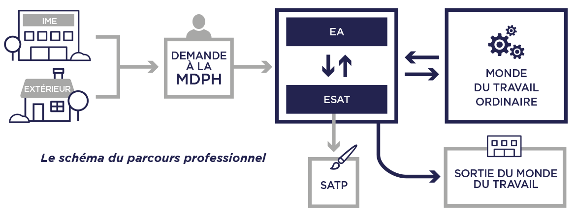 Le schéma du parcours professionnel